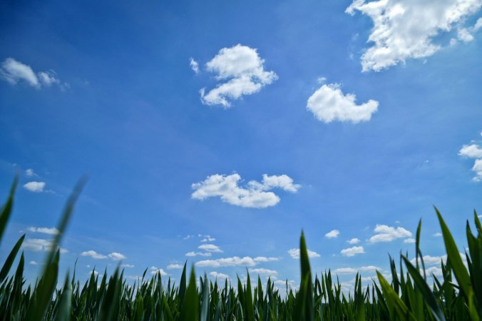 Tiefblauer Himmel über grünem Gras