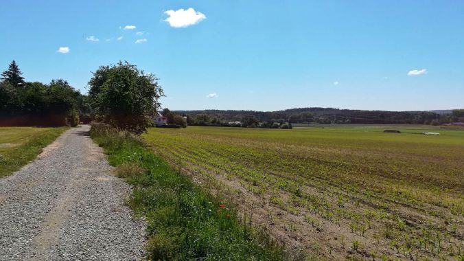 Schon morgens richtig warm und dabei echtes Heuschnupfenwetter