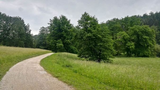 Durch das schöne Schwarzachtal...