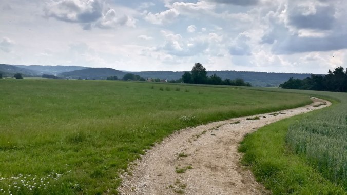 Endlich einmal wieder ohne Regen laufen!