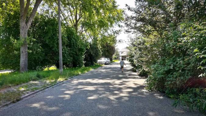 Der Zwergofant läuft mir davon!