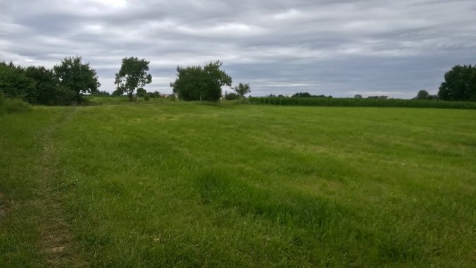 Heute eher grau in grau als Sonnenschein: gut für Intervalle