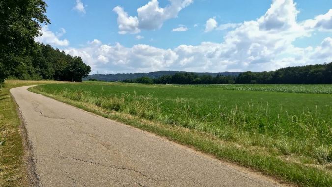 Tolles Laufwetter, herrliche Natur, was will man mehr?