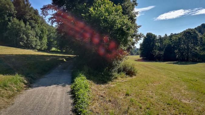Landschaftlich schön, aber teils brutale Steigungen