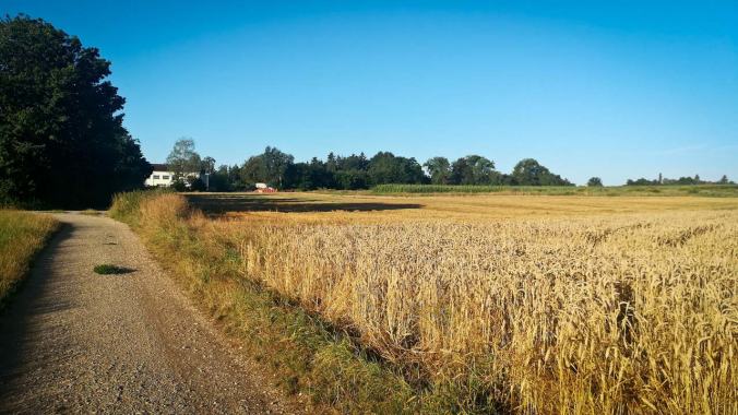 Ein wunderbar klarer Morgen