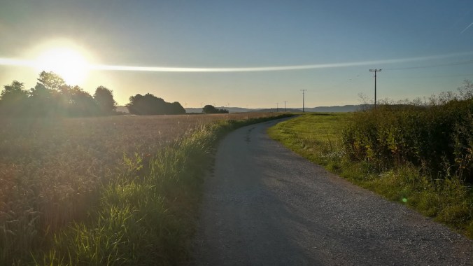 Ein Lauf der aufgehenden Sonne entgegen