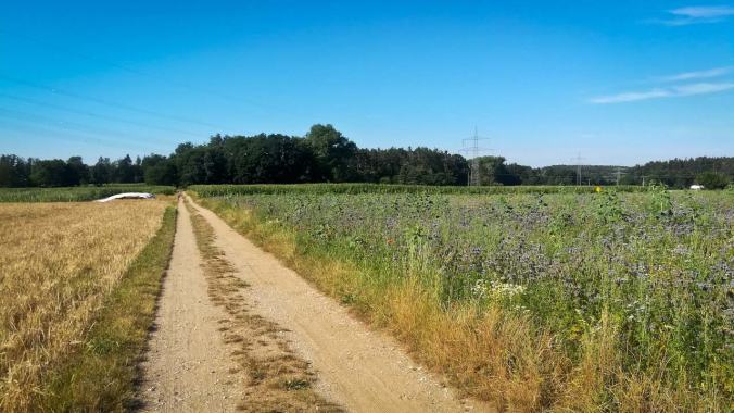 Bereits heute morgen hatte es 29 °C