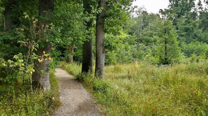 Wenigstens der Wald war idyllisch