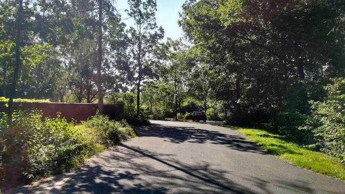 Vor dem schattigen Waldfriedhof