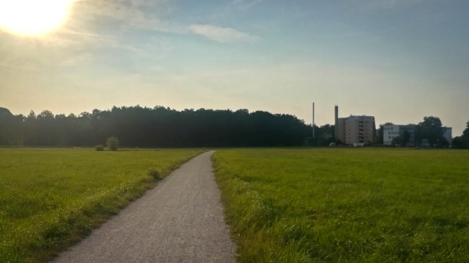 Schon wieder ein Lauf in den sonnigen Morgen...