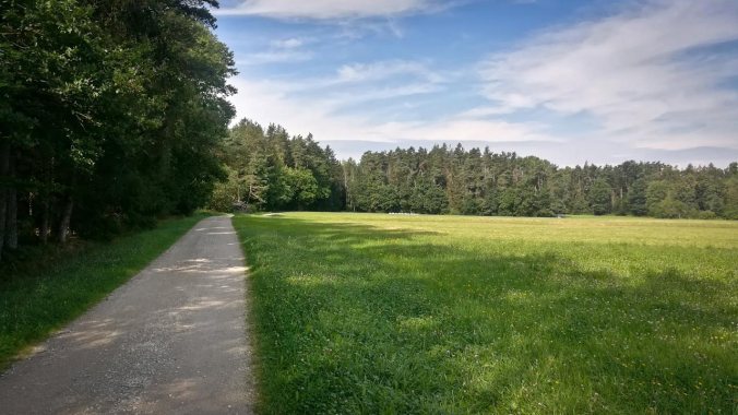 Völlig unvernünftig zur Mittagszeit gelaufen...