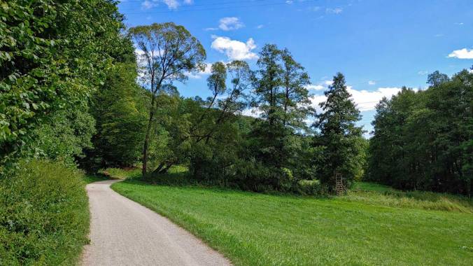Ein Lauf durch die noch grüne Natur