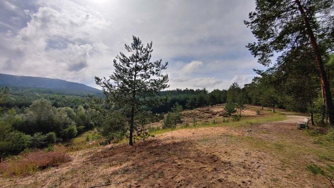 Ich habe eine herrliche neue Laufstrecke entdeckt