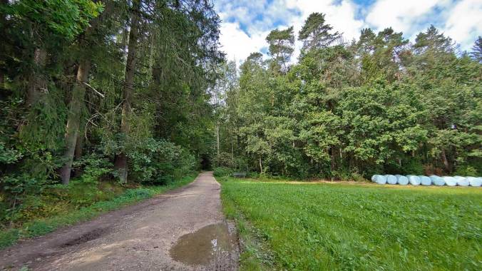 Ein unspektakulärer Mittagslauf