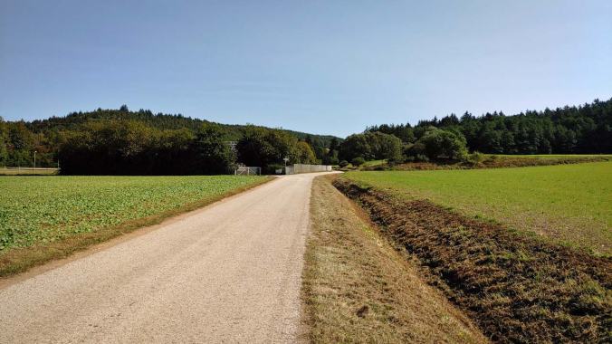 Ein sonniger und windiger Mittagslauf