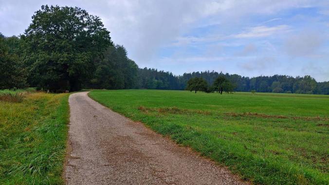 Der erste richtige Herbstlauf im Regen
