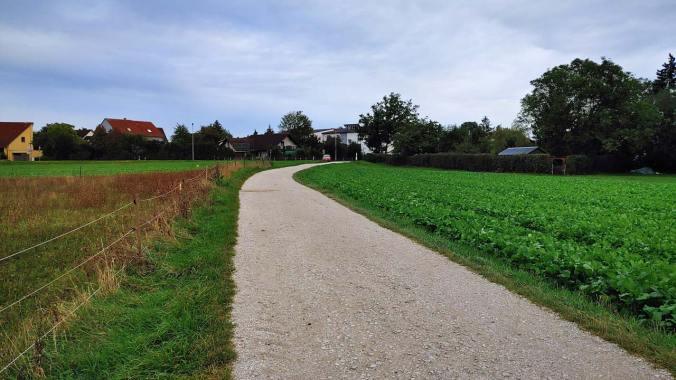 Ein schneller Abendlauf nach der Arbeit