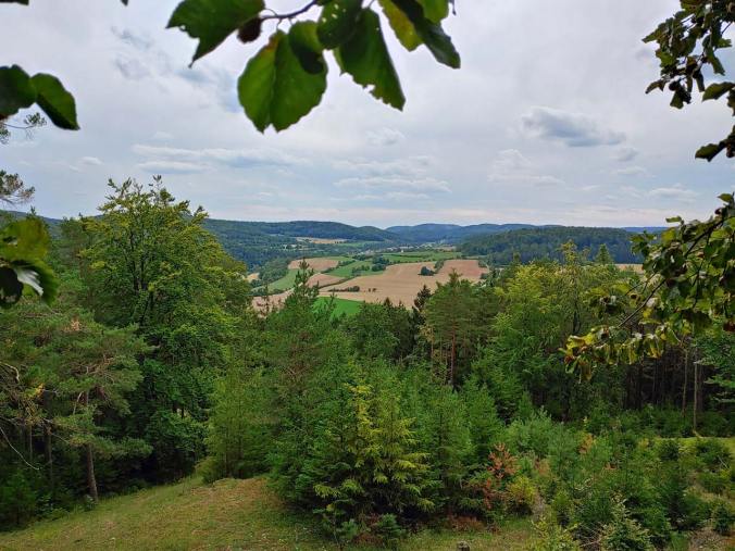 Unser Lieblingsplatz der Wanderung: Ein Gipfel mitten im Wald
