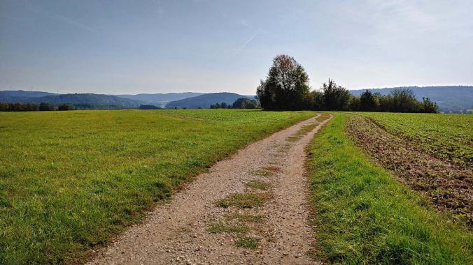 Im Sonnenschein über die Felder