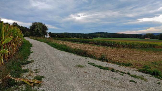 Beim heutigen Lauf war es so richtig herbstlich frisch und windig