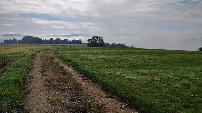 Morgennebel in der aufgehenden Sonne