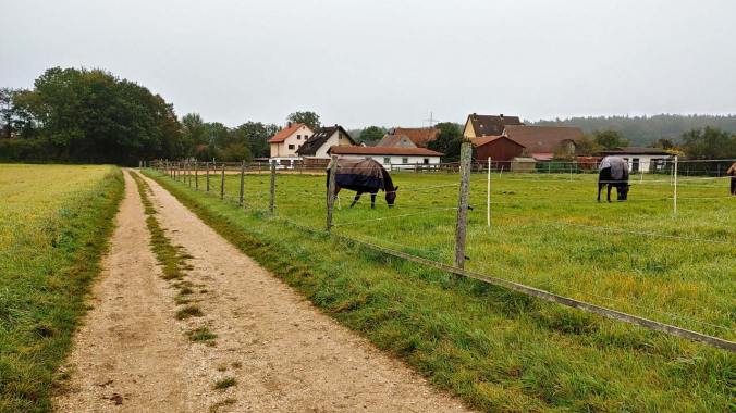 Durch das Herbstwetter vorbei an den Pferden