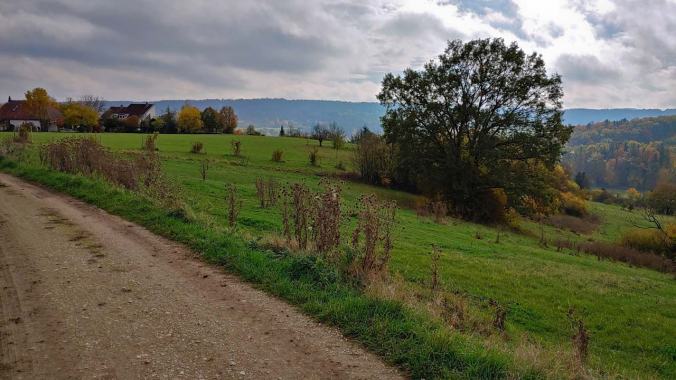 Heute war famoses Laufwetter
