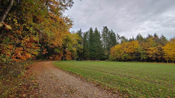Ein Herbstlauf wie aus dem Buch
