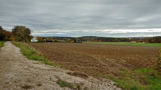Heute mehr braun und grau als knallige Herbstfarben