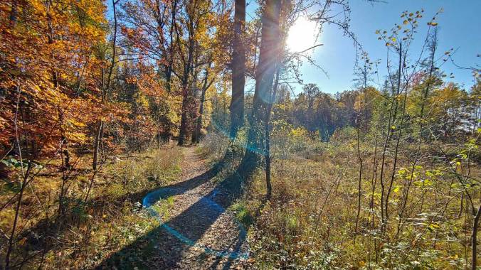 Bestes Laufwetter im Herbst! 🍁🌞😎