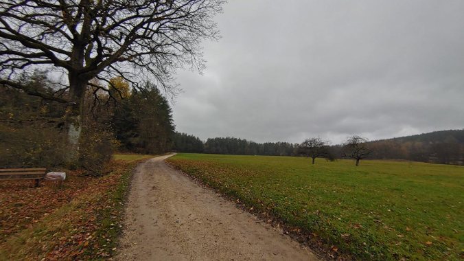 Richtiges Herbstwetter beim Laufen