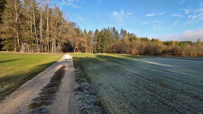 Eine frostige Angelegenheit, aber dennoch super Laufwetter