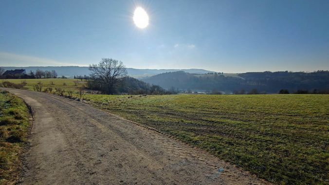 Knackig kaltes und doch herrliches Laufwetter