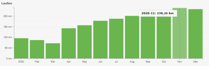 2.020 gelaufene km im Jahr 2020 (Quelle: RUNALYZE)