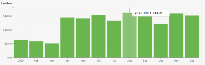 16.247 Meter ging es 2020 in die Höhe (Quelle: RUNALYZE)
