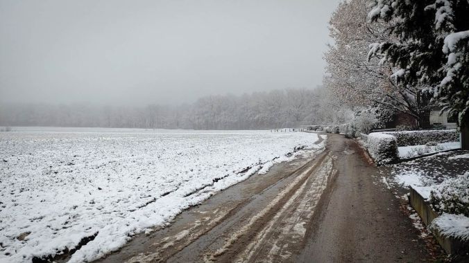 Heute war es sehr neblig, nass und kalt
