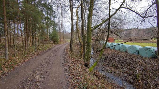 Eine flinke Runde durch den hügeligen Wald