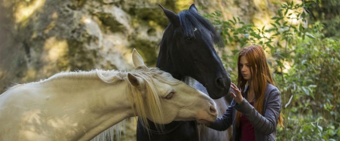 Ostwind 2 (2015) | © Constantin Film (Universal Pictures)