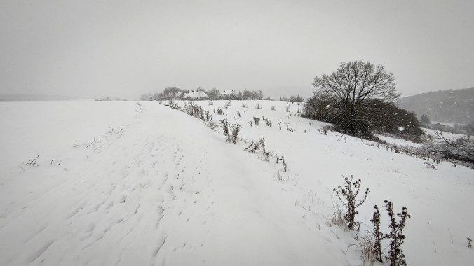 Heute voll in ein Schneegestöber gekommen...