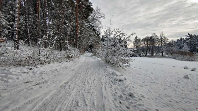 Ein Lauf durch das Winterwunderland