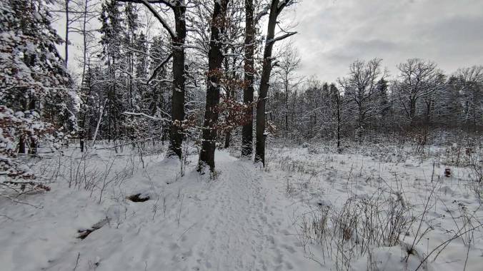 Heute war es noch kälter als gestern!