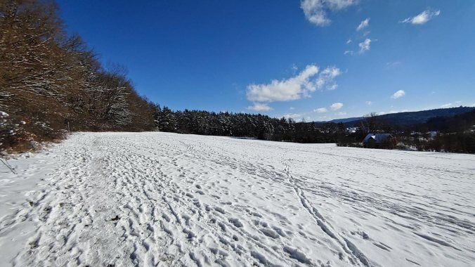 Herrliches Laufwetter, liebe ich!