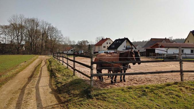 Herrliches Wetter und Pferde