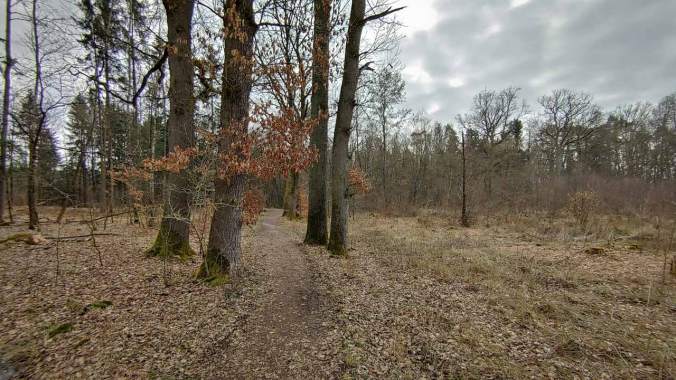 Heute war alles grau in grau und ziemlich kalt