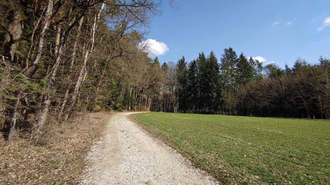 Motivierender Sonnenschein beim Laufen