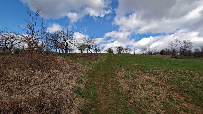 Der Lauf hat sich eher nach Bergsteigen angefühlt