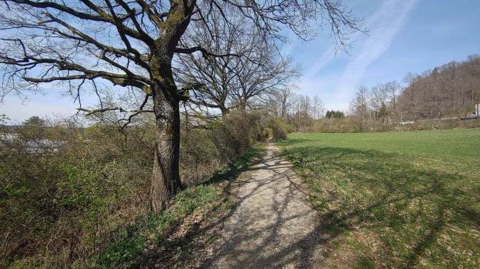 Die kurzen Hosen sind zurück!