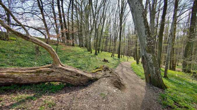 Heute bin ich vom Sonnenschein in die Traufe gekommen