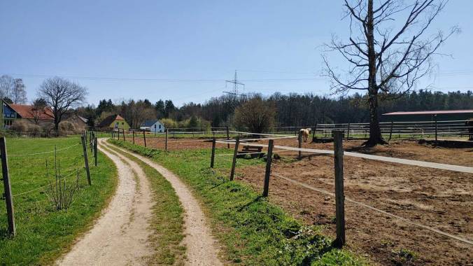 Endlich einmal wieder famoses Laufwetter!