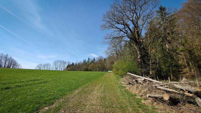 Auf in unbekannte Gefilde!